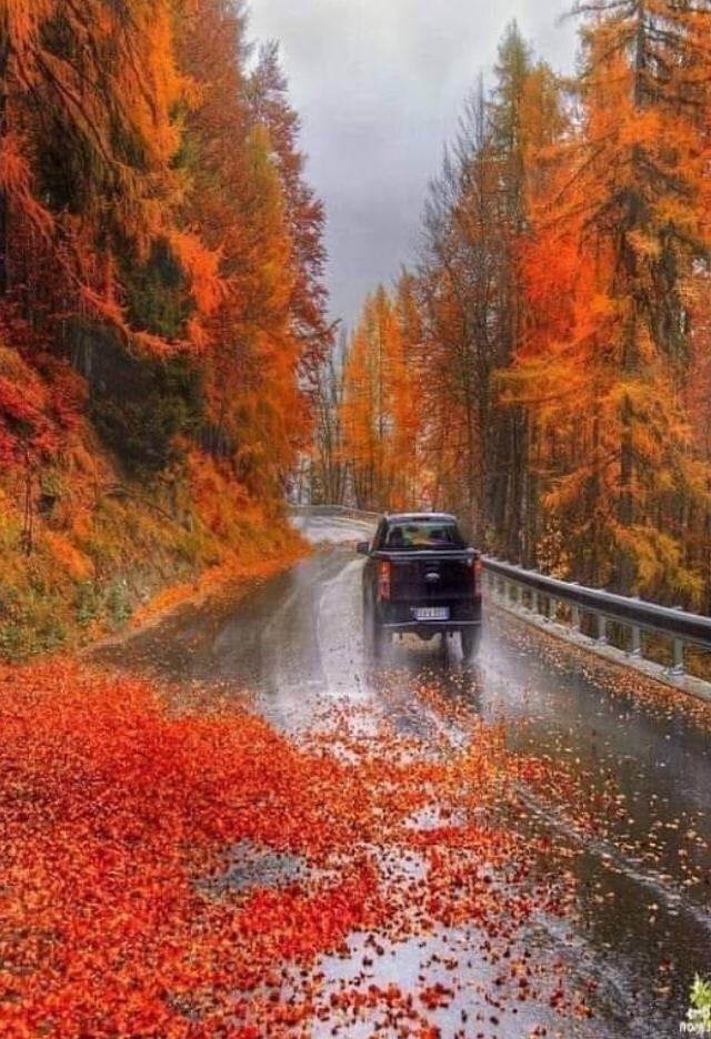 Осенний останавливаться. Осень. Машина осень. Осенняя дорога. Машина на осенней дороге.