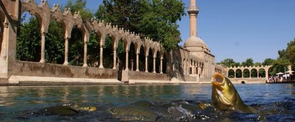 TATİL MADENİ TRAVEL DESİGNER & LG 4U TUR