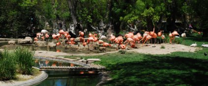 TATİL MADENİ TRAVEL DESİGNER & LG 4U TUR