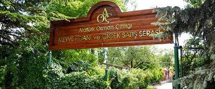 TATİL MADENİ TRAVEL DESİGNER & LG 4U TUR